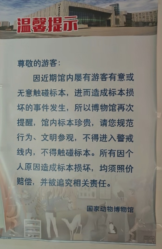 强烈谴责!国家动物博物馆公布标本损伤实图;标本得来不易,捐赠者曾9次被蛇咬伤 强烈谴责!国家动物博物馆公布标本损伤实图;标本得来不易,捐赠者曾9次被蛇咬伤