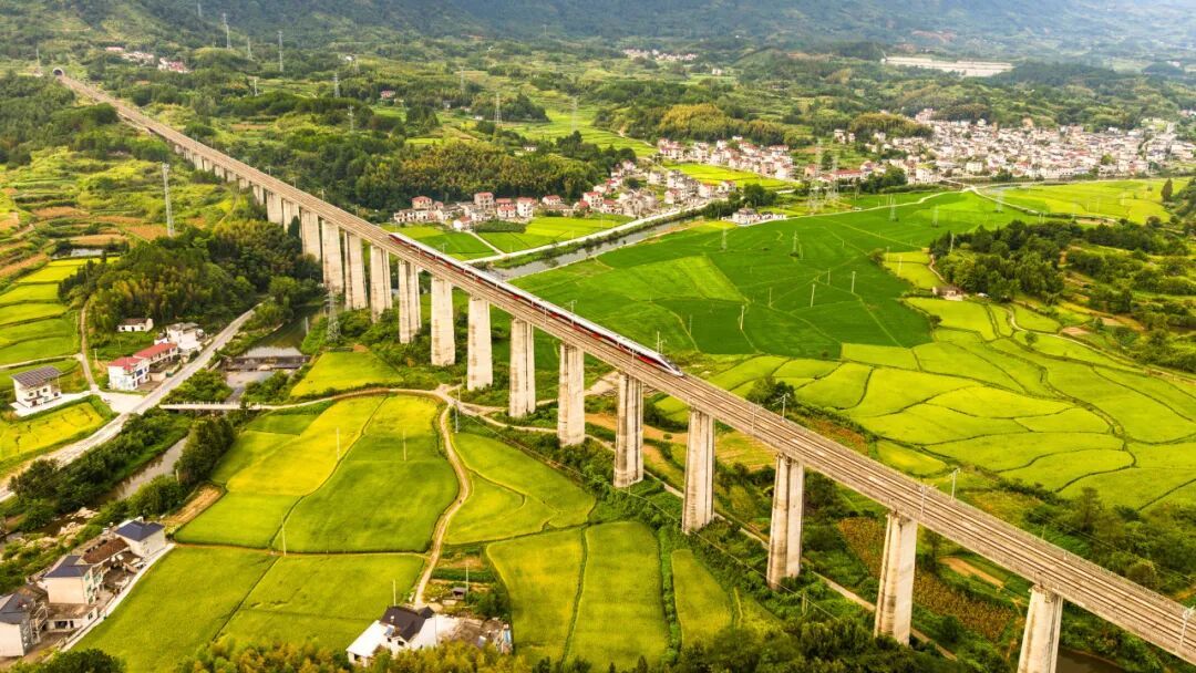 今年已开565列！铁路定制专列火出圈