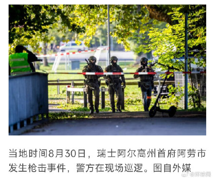 瑞士枪击事件致3名意大利公民伤亡,梅洛尼发声 瑞士枪击事件致3名意大利公民伤亡,梅洛尼发声