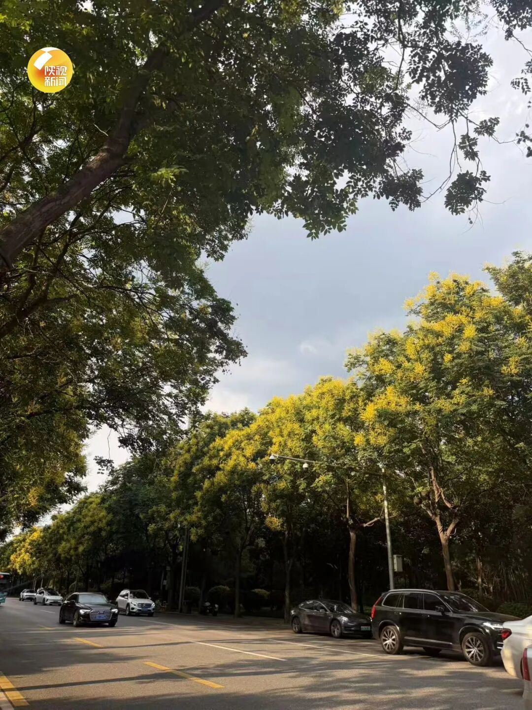 陕西最低13℃!西安5-6级阵风来袭,9月7-8日全省大部小到中雨上线,抓紧晾晒 陕西最低13℃!西安5-6级阵风来袭,9月7-8日全省大部小到中雨上线,抓紧晾晒