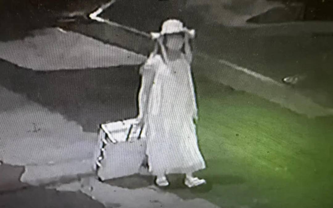 中国女留学生在韩遇害,韩警方决定公示嫌疑人身份信息 中国女留学生在韩遇害,韩警方决定公示嫌疑人身份信息