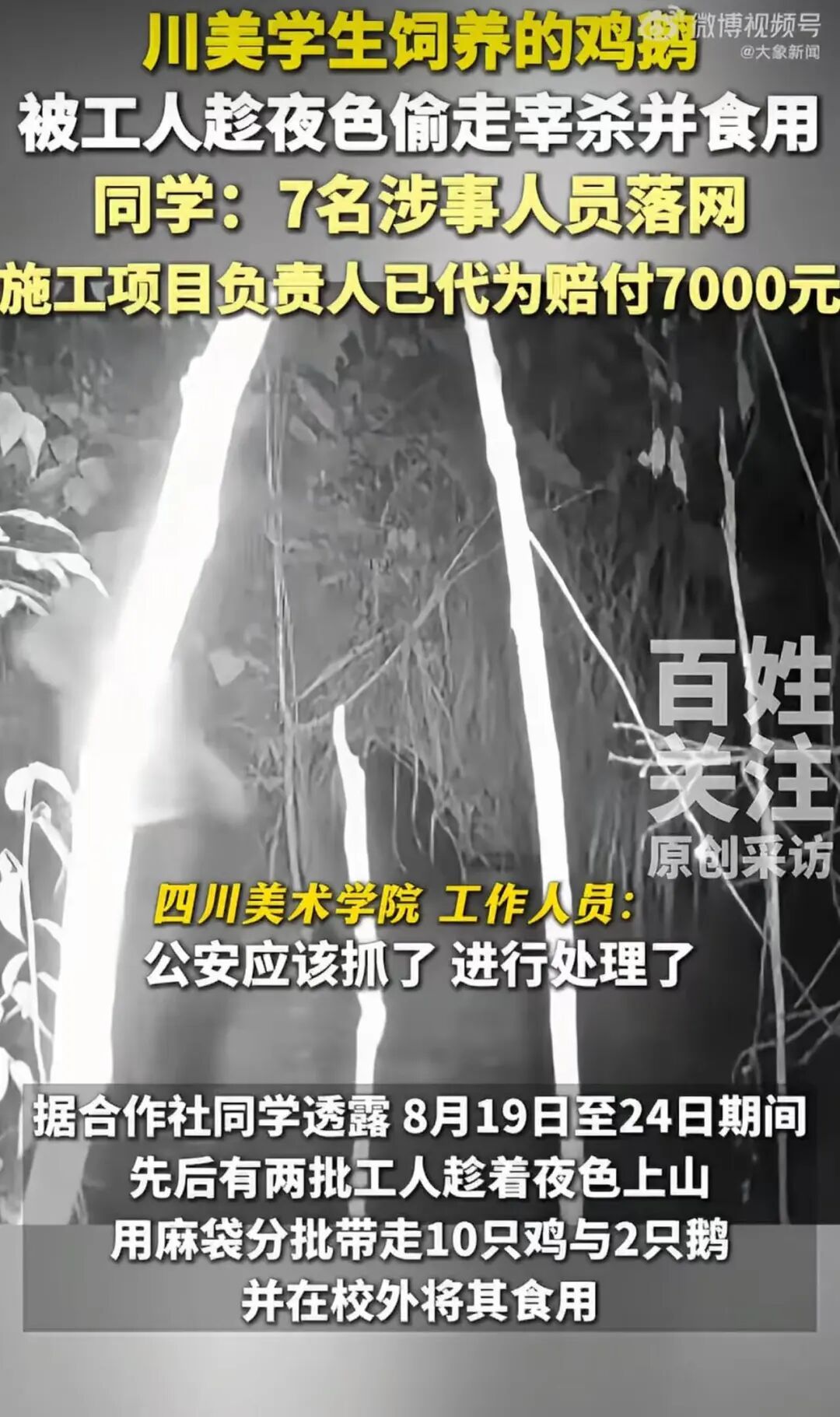 高校学生养的12只鸡鹅被盗，有人趁夜色偷走后食用