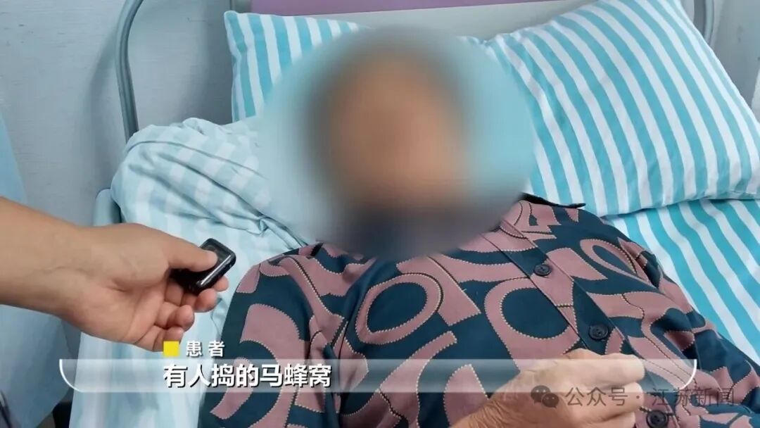 南京3名绿化工小区内干活遭成群马蜂“围堵”!一人伤口达30余处,出现器官功能损伤 南京3名绿化工小区内干活遭成群马蜂“围堵”!一人伤口达30余处,出现器官功能损伤
