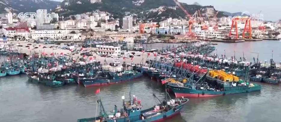快来抢“鲜”！黄渤海伏季休渔期结束 千帆竞发争抢“开海第一鲜”