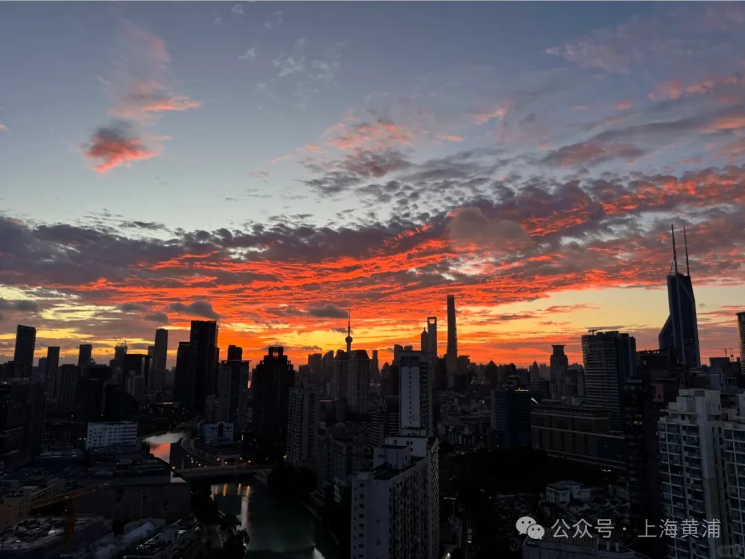 在上海看到漫天橘粉火烧云了吗?罕见!“沙德尔”停止编号后再度加强为台风,最新路径公布 在上海看到漫天橘粉火烧云了吗?罕见!“沙德尔”停止编号后再度加强为台风,最新路径公布