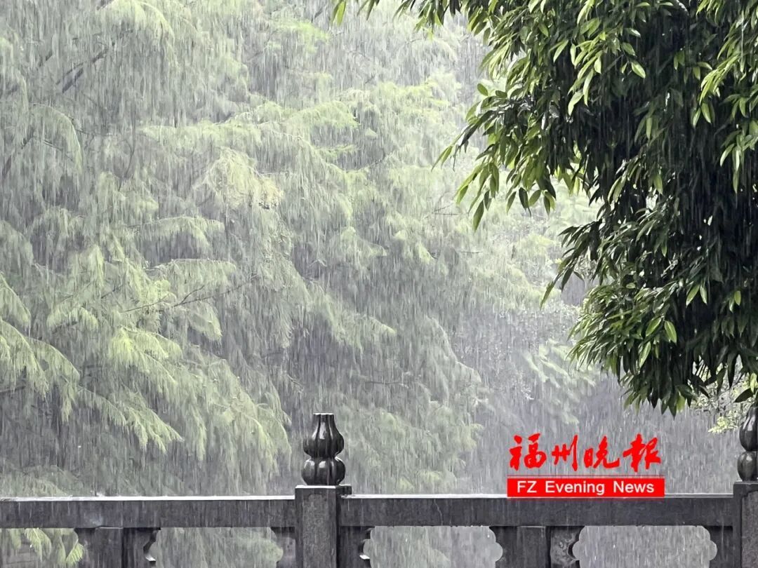 台风“沙德尔”复活！福建提升防汛应急响应，将迎大暴雨，局地有特大暴雨