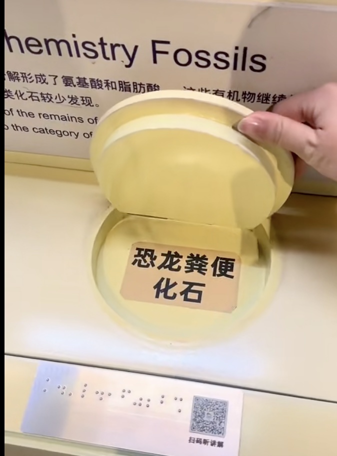 游客在博物馆摸神秘化石，答案竟是“恐龙粪便”？馆方回应