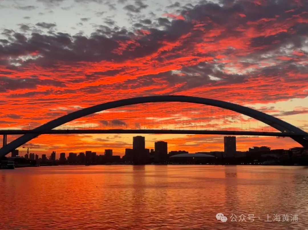 在上海看到漫天橘粉火烧云了吗?罕见!“沙德尔”停止编号后再度加强为台风,最新路径公布 在上海看到漫天橘粉火烧云了吗?罕见!“沙德尔”停止编号后再度加强为台风,最新路径公布