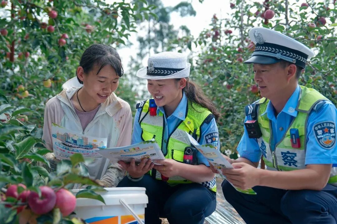 他们，守护着40万“候鸟”的安全