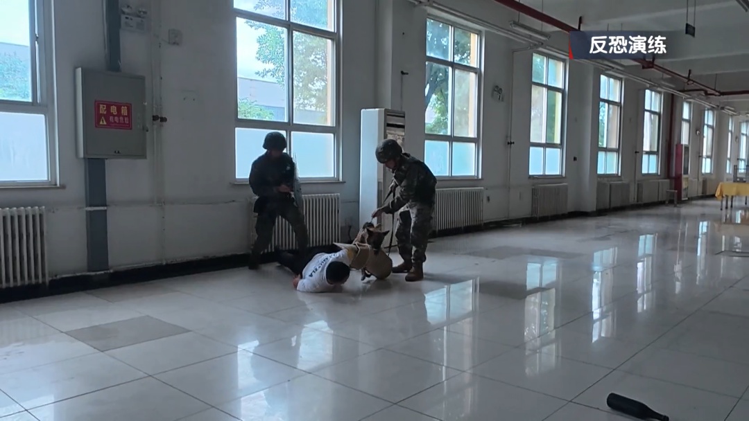武警北京总队举办“军犬技能大比武”:“汪星战友”各显神通 武警北京总队举办“军犬技能大比武”:“汪星战友”各显神通