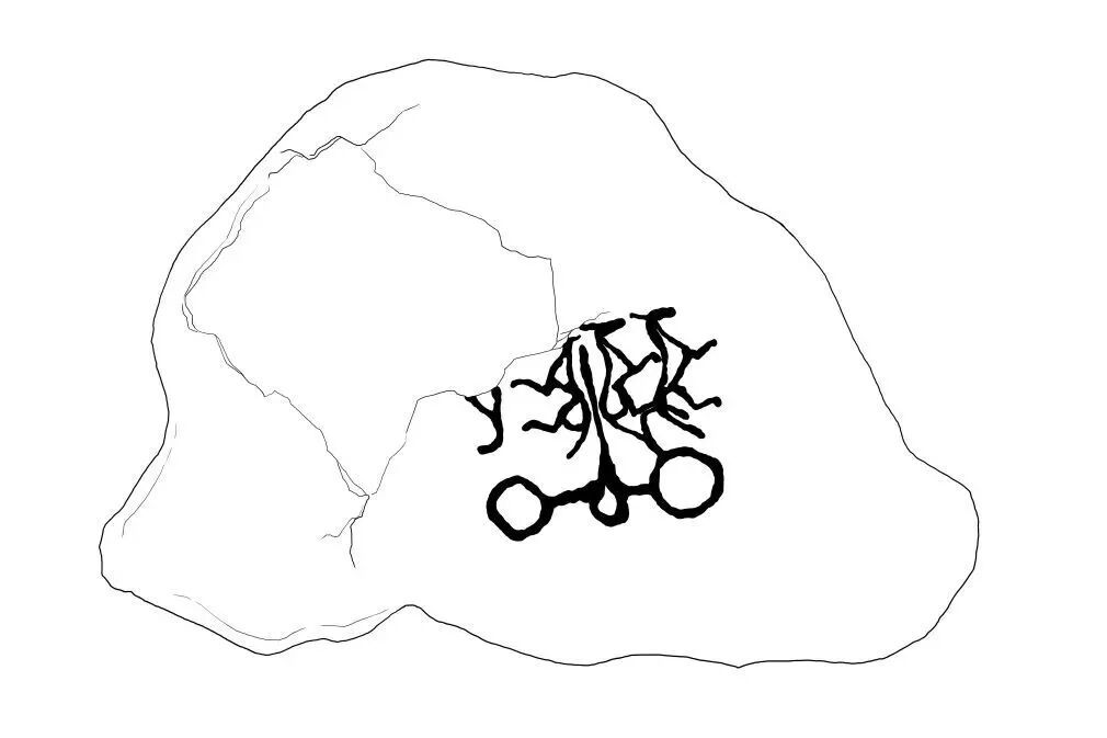 首次发现的“四马拉车”谁画的?有何意蕴?考古工作者的详细解读来了—— 首次发现的“四马拉车”谁画的?有何意蕴?考古工作者的详细解读来了——