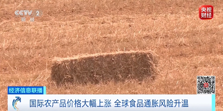 国际金融机构，密集发布预警