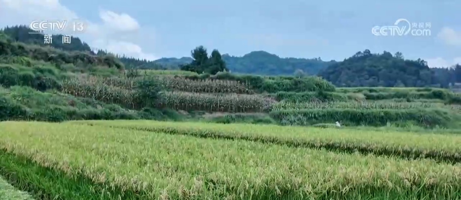 9月将迎来阶段性高温天气 长江以南地区秋季降水偏多 9月将迎来阶段性高温天气 长江以南地区秋季降水偏多