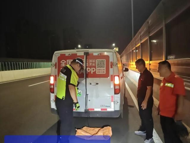 淄博生猪夜闯快速路,交警十余分钟化险为夷 淄博生猪夜闯快速路,交警十余分钟化险为夷
