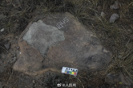 贺兰山新发现国内罕见四马拉车岩画 贺兰山新发现国内罕见四马拉车岩画