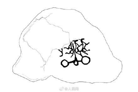 贺兰山新发现国内罕见四马拉车岩画 贺兰山新发现国内罕见四马拉车岩画