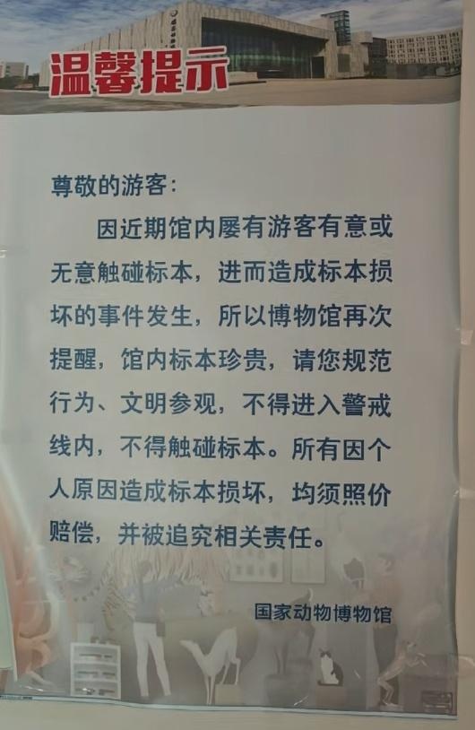 珍稀蛇类标本遭游客“把玩致损”!博物馆标本为什么碰不得? 珍稀蛇类标本遭游客“把玩致损”!博物馆标本为什么碰不得?