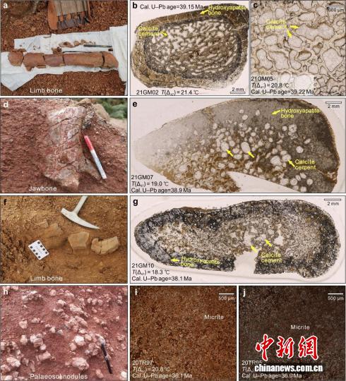 青藏高原如何形成多样性高海拔生态系统?最新研究揭晓起源之谜 青藏高原如何形成多样性高海拔生态系统?最新研究揭晓起源之谜
