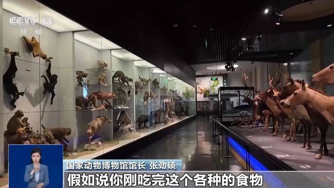 博物馆珍贵蛇标本被破坏，馆方：保留依法追究法律责任权利
