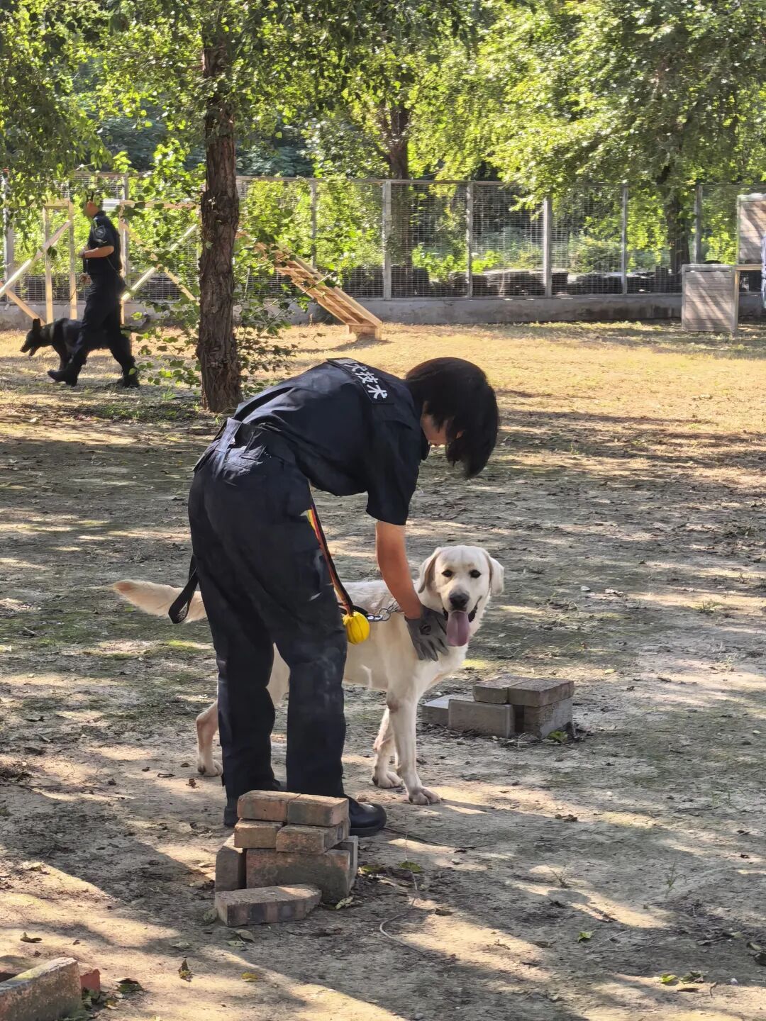 警校真的发小狗了! 警校真的发小狗了!