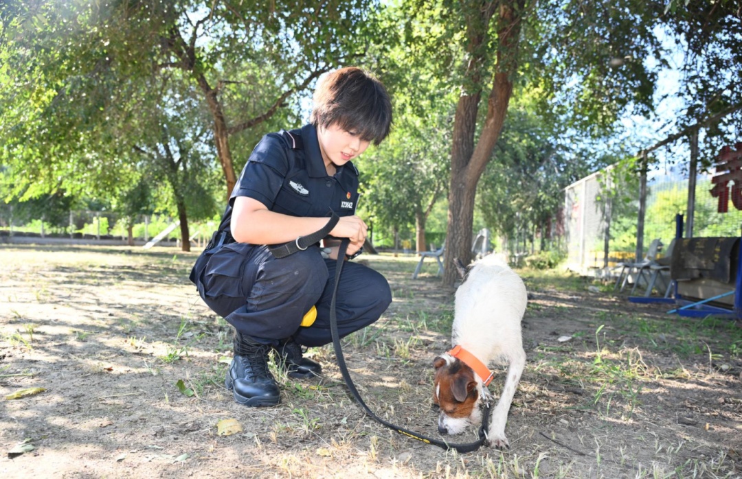 警校真的发小狗了! 警校真的发小狗了!