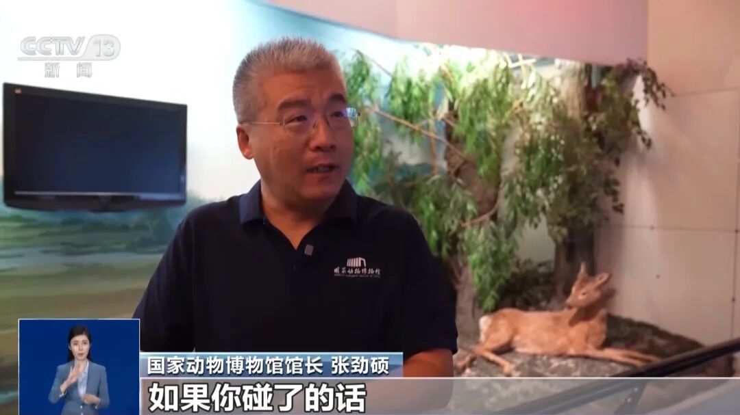 博物馆珍贵蛇标本被破坏，馆方：保留依法追究法律责任权利