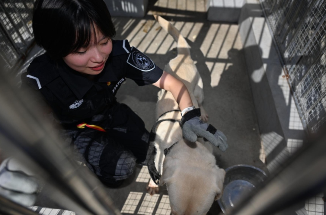 警校真的发小狗了! 警校真的发小狗了!