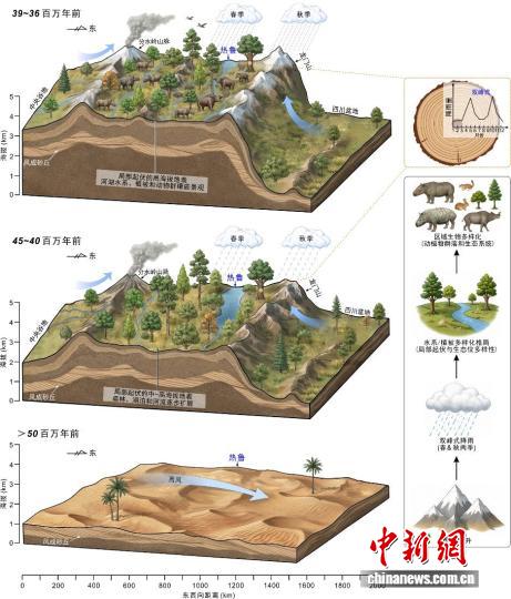 青藏高原如何形成多样性高海拔生态系统?最新研究揭晓起源之谜 青藏高原如何形成多样性高海拔生态系统?最新研究揭晓起源之谜