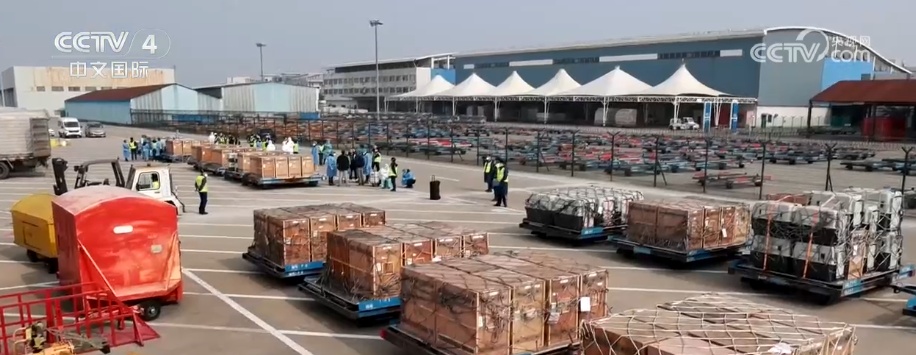 版图加速扩容、市场活力涌动 航空物流筑牢外贸稳增长空中支撑 版图加速扩容、市场活力涌动 航空物流筑牢外贸稳增长空中支撑