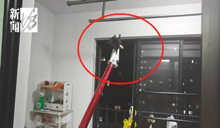 携带大量病毒，千万别徒手抓！独居女子深夜吓坏，感染科医生叮嘱→