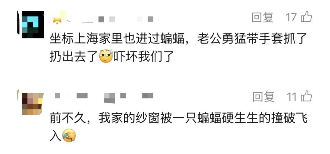 携带大量病毒，千万别徒手抓！独居女子深夜吓坏，感染科医生叮嘱→