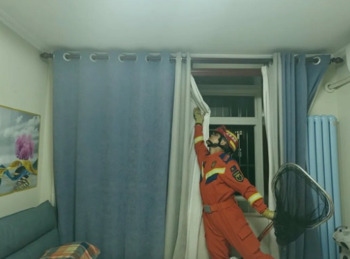 携带大量病毒，千万别徒手抓！独居女子深夜吓坏，感染科医生叮嘱→