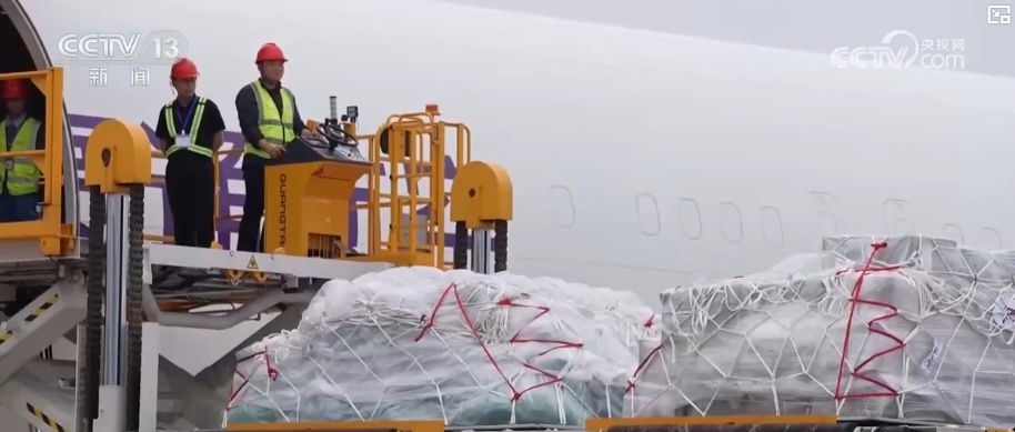 版图加速扩容、市场活力涌动 航空物流筑牢外贸稳增长空中支撑 版图加速扩容、市场活力涌动 航空物流筑牢外贸稳增长空中支撑