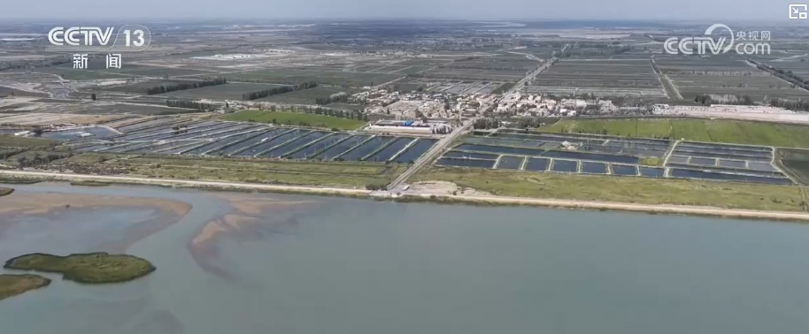 探寻沙漠海鲜“养殖密码” 多种水产养殖为群众增收开辟新途径 探寻沙漠海鲜“养殖密码” 多种水产养殖为群众增收开辟新途径