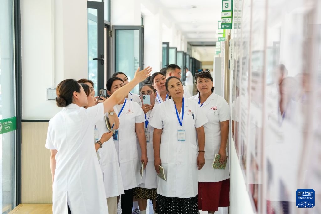 蒙古国学员在甘肃研学中医技艺 蒙古国学员在甘肃研学中医技艺