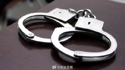 2人开20家网店卖675万多元盗版教材 2人开20家网店卖675万多元盗版教材