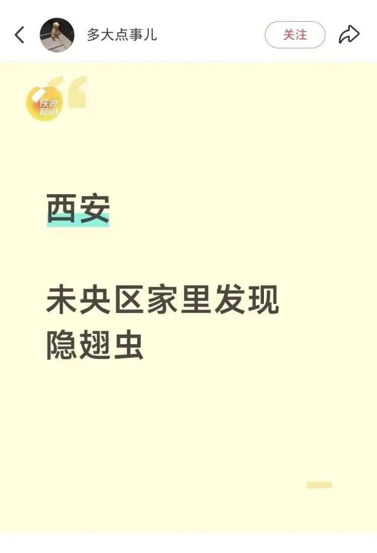 西安多区发现隐翅虫?千万别拍!毒液堪比硫酸 西安多区发现隐翅虫?千万别拍!毒液堪比硫酸