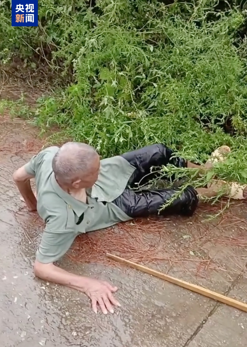担心被讹,却两次折返!他的这个举动感动全网 担心被讹,却两次折返!他的这个举动感动全网