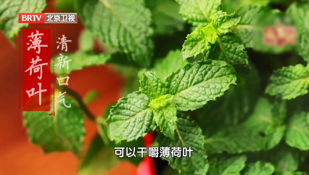 钙是牛奶3倍、膳食纤维是黄瓜10倍,闻一闻记忆力也好了!常吃补钾又稳糖 钙是牛奶3倍、膳食纤维是黄瓜10倍,闻一闻记忆力也好了!常吃补钾又稳糖