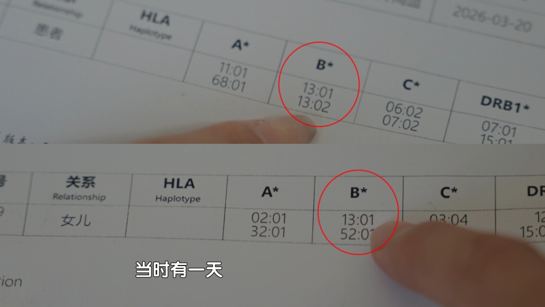救母配型揭开29年身世谜团 半生养育情抵血缘万般重 救母配型揭开29年身世谜团 半生养育情抵血缘万般重