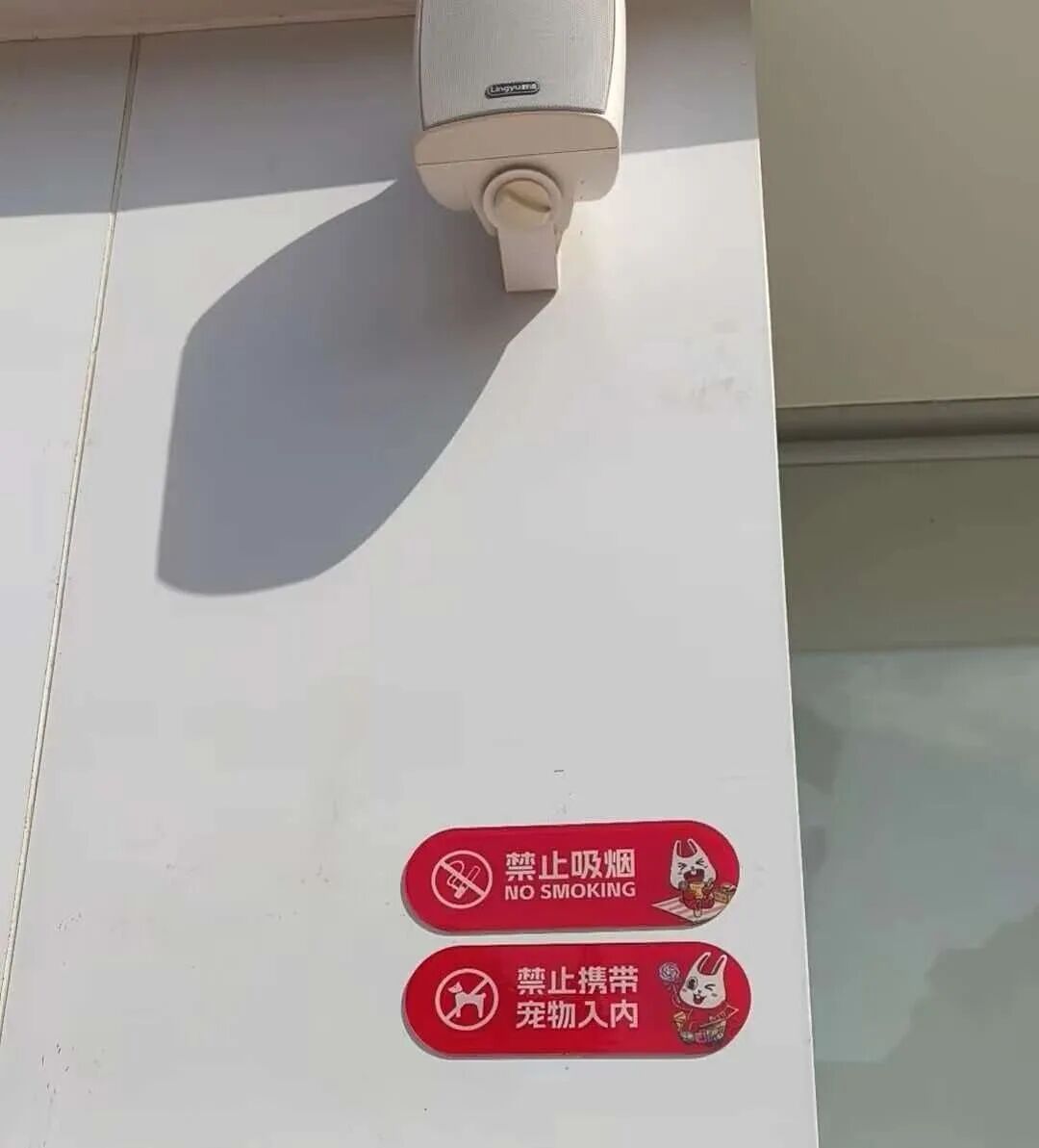 甘肃一禁带宠物超市散装火腿肠被狗扒咬,当地市监所:已查封,将销毁 甘肃一禁带宠物超市散装火腿肠被狗扒咬,当地市监所:已查封,将销毁