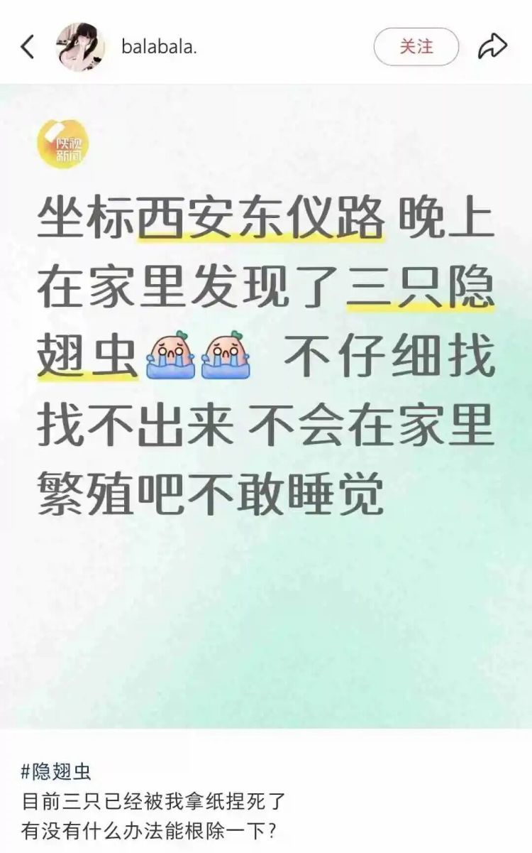 西安多区发现隐翅虫?千万别拍!毒液堪比硫酸 西安多区发现隐翅虫?千万别拍!毒液堪比硫酸