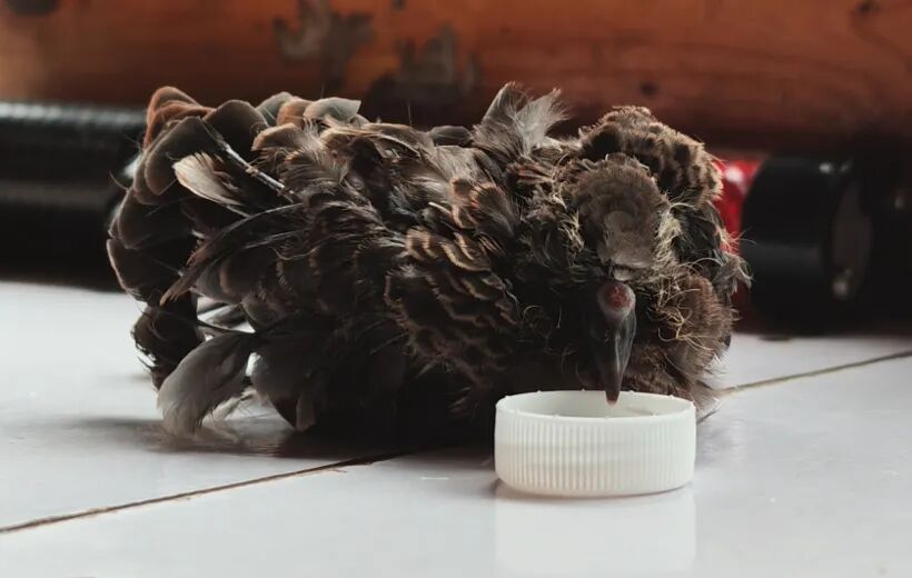 火出圈!合肥49岁女保安走红网络,执勤间隙跳拉丁舞,网友纷纷点赞 火出圈!合肥49岁女保安走红网络,执勤间隙跳拉丁舞,网友纷纷点赞
