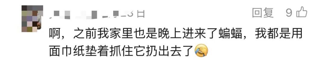 携带大量病毒，千万别徒手抓！独居女子深夜吓坏，感染科医生叮嘱→