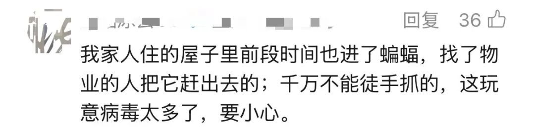 携带大量病毒，千万别徒手抓！独居女子深夜吓坏，感染科医生叮嘱→
