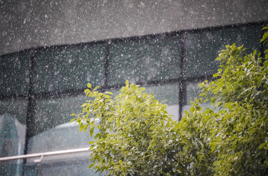 暴雨大暴雨！台风“沙德尔”或登陆广东，还有冷空气来降温