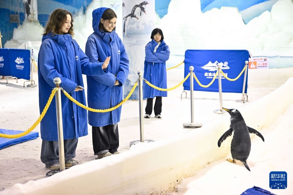 江苏南通:森迪旅游度假区的外籍舞者 江苏南通:森迪旅游度假区的外籍舞者