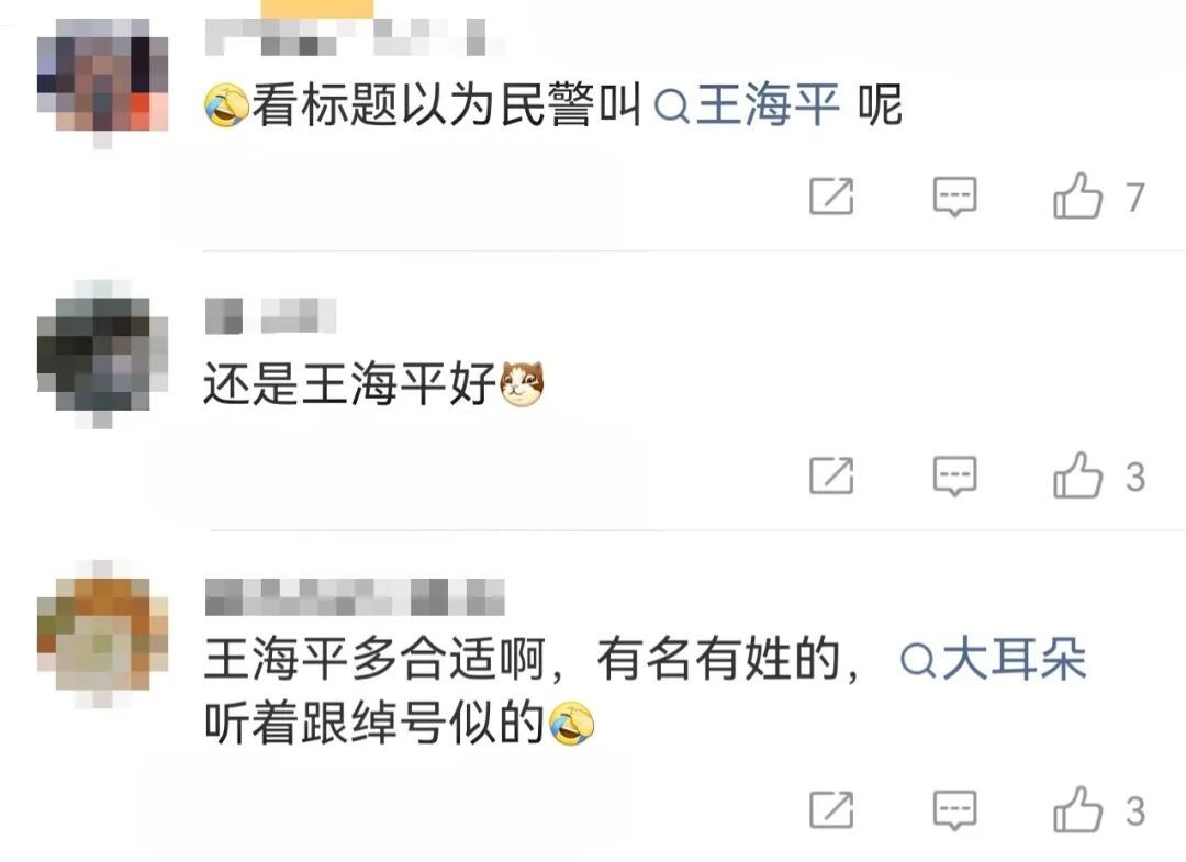 汪汪队立新功！此“汪”原名“王海平”，后更名为“大耳朵”……