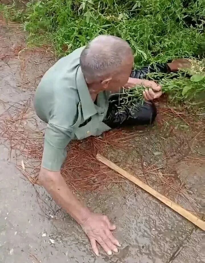 88岁老人雨天摔倒在地,扶还是不扶?他路过后两次折返…… 88岁老人雨天摔倒在地,扶还是不扶?他路过后两次折返……