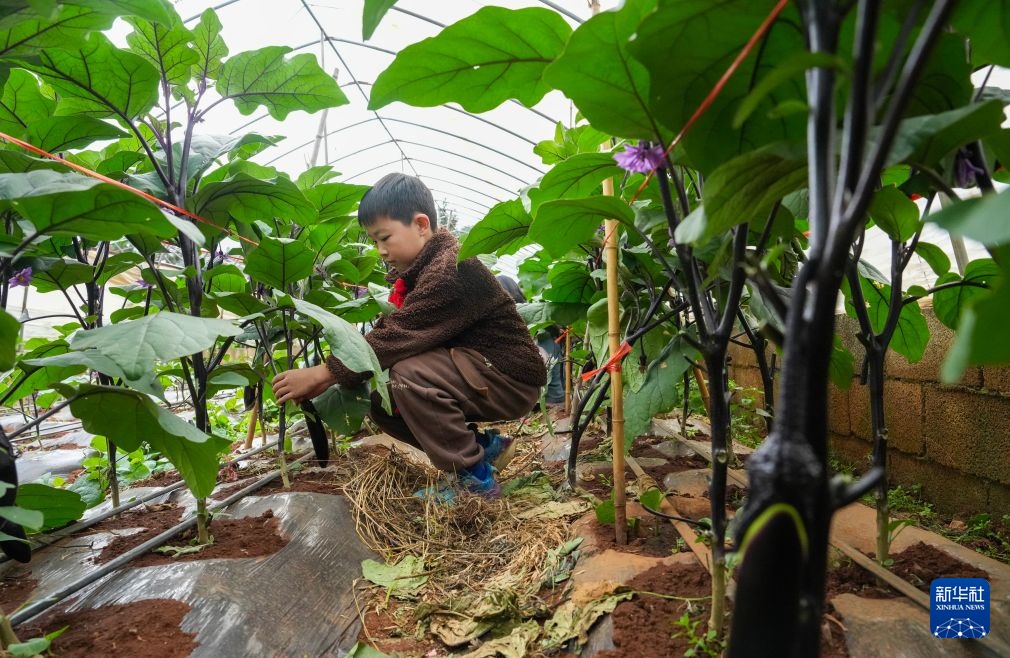 云南宣威:教体融合 欢乐开学 云南宣威:教体融合 欢乐开学